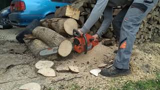 Husqvarna 254xp chainsaw cutting some cookies.