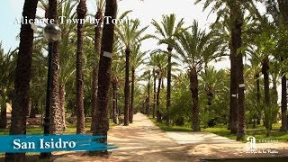 SAN ISIDRO. Alicante town by town