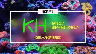 海缸教科书 第七课 海水鱼缸的KH是什么?与PH有什么关系?