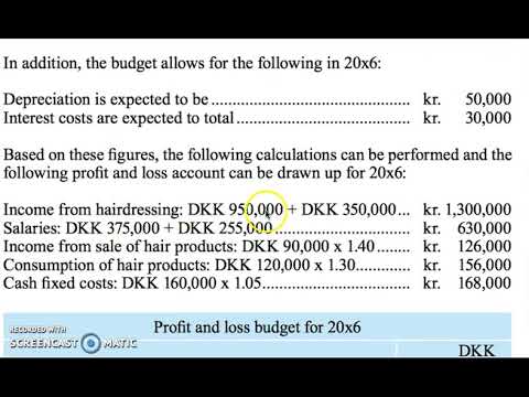 profit and loss budget profit and loss budget