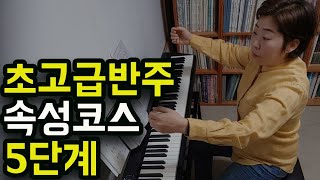 초보가 가장 빨리 고급 레벨 반주자 되는법(ft. 30년 노하우 담은 5단계 코스 요리🥗)