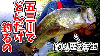 【夏の激釣バス釣り】バス釣り歴2年生に五三川でおかっぱり勝負を挑まれた、結果・・・！激釣バトルに発展！！BassFishing