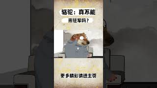 骆驼：真不能来驻军吗？#cheems小剧场 #cheems #搞笑