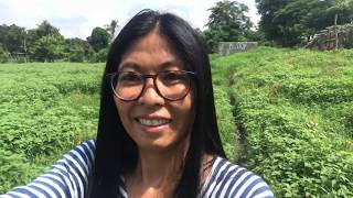 Vlog322: 2.1 HECTARE FARM LOT WITH MOUNTAIN VIEW FOR SALE IN LIPA CITY PHILIPPINES