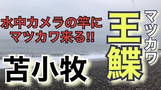 【水中映像・釣り】苫小牧サーフ マツカワ 水中カメラの竿にマツカワ来る！胆振　日高