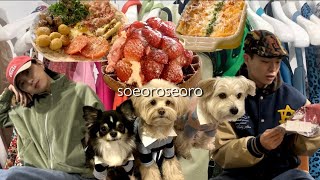 VLOG) 🐕‍🦺서로와 서울 샅샅히 I 한남동,연남동,봉천동 애견동반 I 이미스,카멜리아,샐러드셀러,오지힐,서울수퍼 I 커플 브이로그