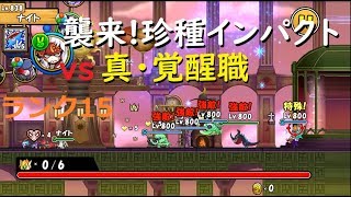 ケリ姫スイーツ 襲来！珍種インパクトvs真・覚醒職！ランク15攻略