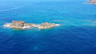 絶海の孤島で釣り対決！【口永良部島で磯釣り対決#1】