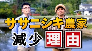 ササニシキを作る農家が減った理由 / 自然栽培米農家大森博さん / 熊本県南阿蘇（自然栽培米専門店ナチュラルスタイル）