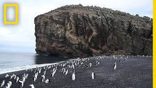 Explore Deception Island, the Active Antarctic Volcano That's Home to Penguins | National Geographic