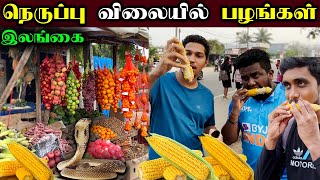 யாழ்ப்பாண தெருவோர சோளன் கடை | Jaffna Street Fruits Shop | Chunnakam | Jaffna | Sri Lanka