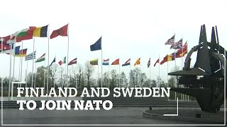 Sweden and Finland reportedly considering joining NATO