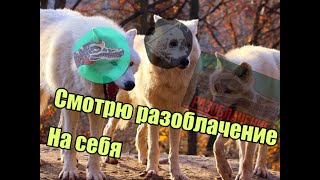 Смотрю разоблачение на себя // КРОВЬ 🩸