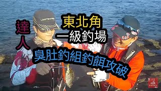 海邊釣魚臭肚魚 !!!超好釣!!!馬崗臭肚釣法 台灣愛釣魚釣技討論區第五台第十集