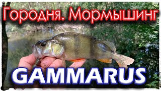 Городня. В поисках крупной рыбы. Мормышинг.