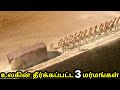 Download உலகின் தீர்க்கப்பட்ட 3 மர்மங்கள் | 3 solved mysteries in the world in tamil | In Mp4 3Gp Full HD Video