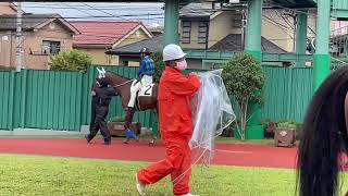 2022.9.20 浦和🐎9R ロマーシカ、森泰斗騎手騎乗