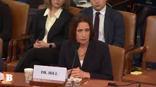 Democrat Impeachment Hearing with Fiona Hill & David Holmes