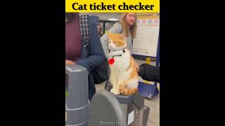 Cat ticket checker 🎟️