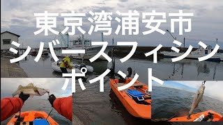 ［東京湾浦安市］SEA BAS FISHING おどろくほどいぱい釣れました。