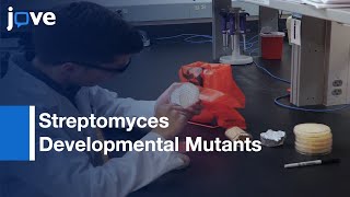 Streptomyces Developmental Mutants Visual and Microscopic Evaluation | Protocol Preview