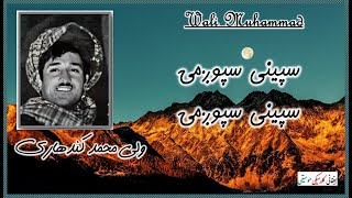 WALI MOHAMMAD KANDAHARI ~ ولی محمد کندهاری | Spini Spozhmai Spini ~ سپينی سپوږمۍ سپينی