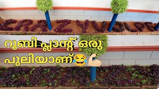 ഗ്രൗണ്ട് പ്രൊപോകഷൻ ideas/ ground propogation ideas and tips