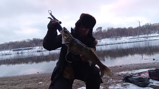 ГоРБУНЫ с СудаРЕм попали под РаЗдАчУ‼️‼️‼️#спиннинг #рыбалка