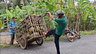 Daily Work and Meals Just the Two of Us, But We're Very Happy! | BĐMV&Family