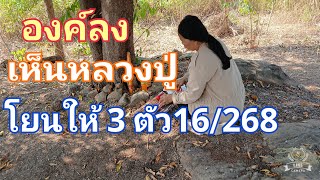 องค์ลง หลวงปู่โยนให้ 3 ตัว16/268