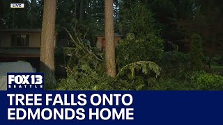 Tree crashes into Edmonds house