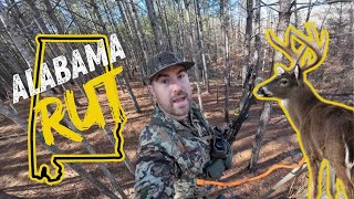 FINDING BIG BUCKS QUICK!! || Two day ALABAMA rut hunt.