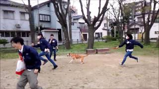 動物・学校・新潟・長野・学校犬と走り回る