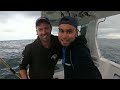 trolling for perth yellowfin and skipjack tuna on richter lure dorado pelagic action fishing