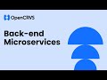 OpenCRVS Core: Back end - Data layer & microservices