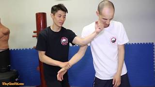 #Bruce Lees Wing Chun vs Ip Man vs Jeet Kune DO