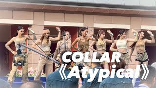 COLLAR - 《Atypical》 @沙田馬場 好運1月1賽馬日2024 240101