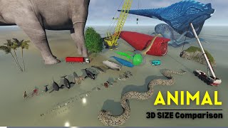 Animal Size Comparison 3d Animation Comparison Real Scale Comparison