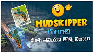 Top 20 interesting facts in telugu || మీకు తెలియని 20 నిజాలు || VTHL FACTS