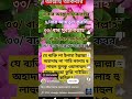 2023 kolorob song new গজল madina hit নতুন jahidul azhari_ azhari_waz