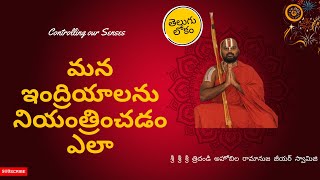 Controlling our Senses | మన ఇంద్రియాలను నియంత్రించడం ఎలా | Ahobila Ramanuja Jeeyar Swamiji