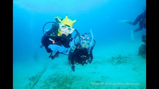 【PADI 講習】最年少ダイバー誕生♬｜PADI Jr.オープン・ウォーター・ダイバーの上手すぎる中性浮力！