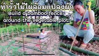 ทำรั้วไม้ไผ่ล้อมแปลงผัก ด้วยตัวเองBuild a bamboo fence around the vegetable plot.