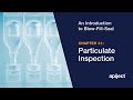 31 - Introduction to Blow-Fill-Seal / Particulate Inspection in Blow-Fill-Seal