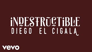 Diego El Cigala - Indestructible (Cover Audio)