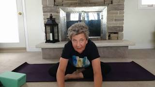 Gentle Yoga for Seniors and New Yogis