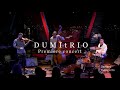 Seifert Concerts: DUMItRIO - spot