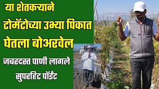 टोमॅटोच्या उभ्या पिकात घेतला बोअरवेल लागले तुफान पाणी #water #video #borewell #agriculture