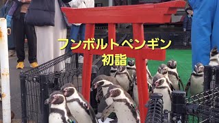 【真冬の越前松島水族館】（福井県）