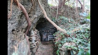 鹿児島県の宝島の鍾乳洞でトレジャーハンティング